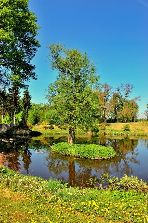 Palac Jablonowo Panzió Ujście Kültér fotó